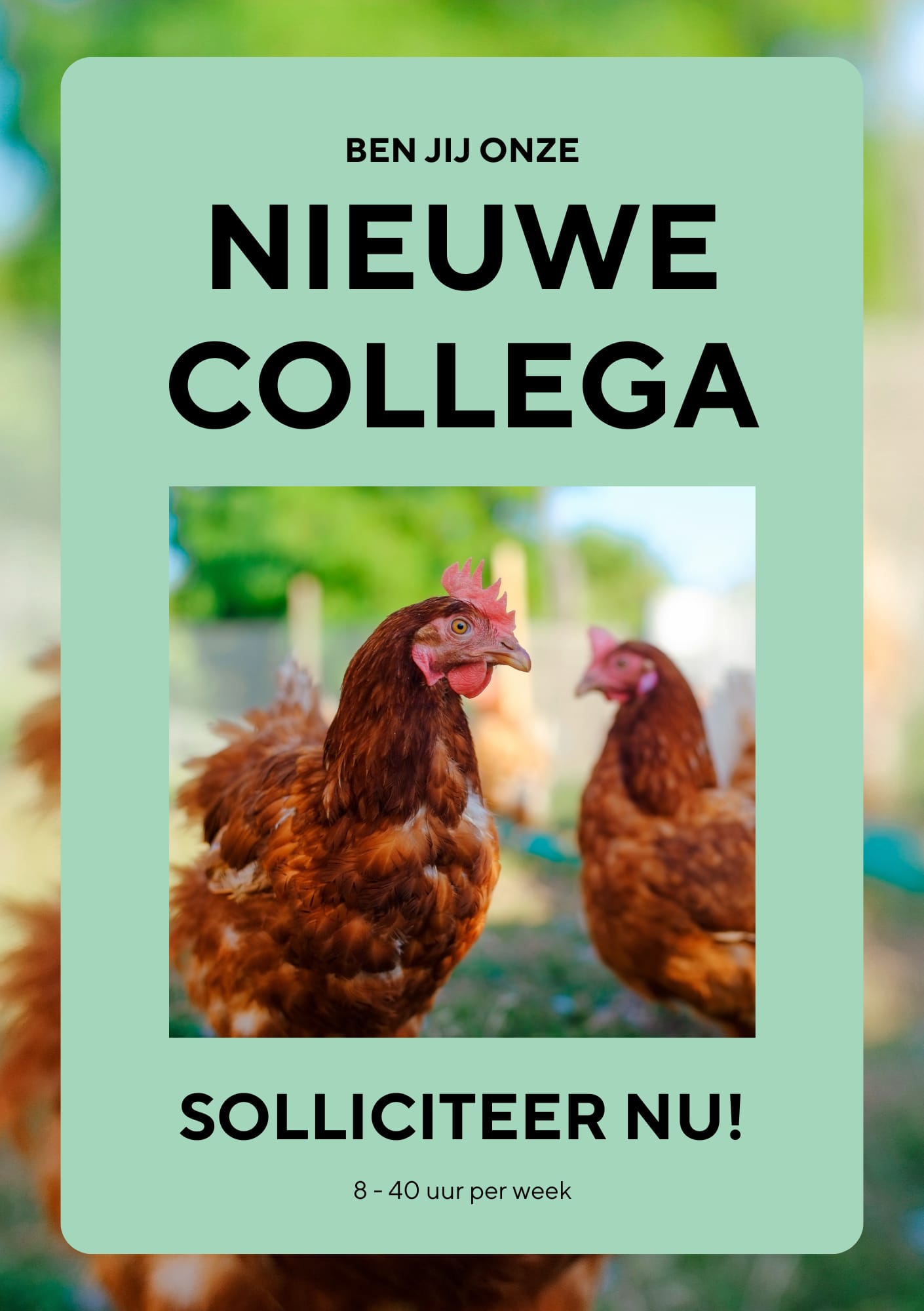 Vacature poelier Amsterdam